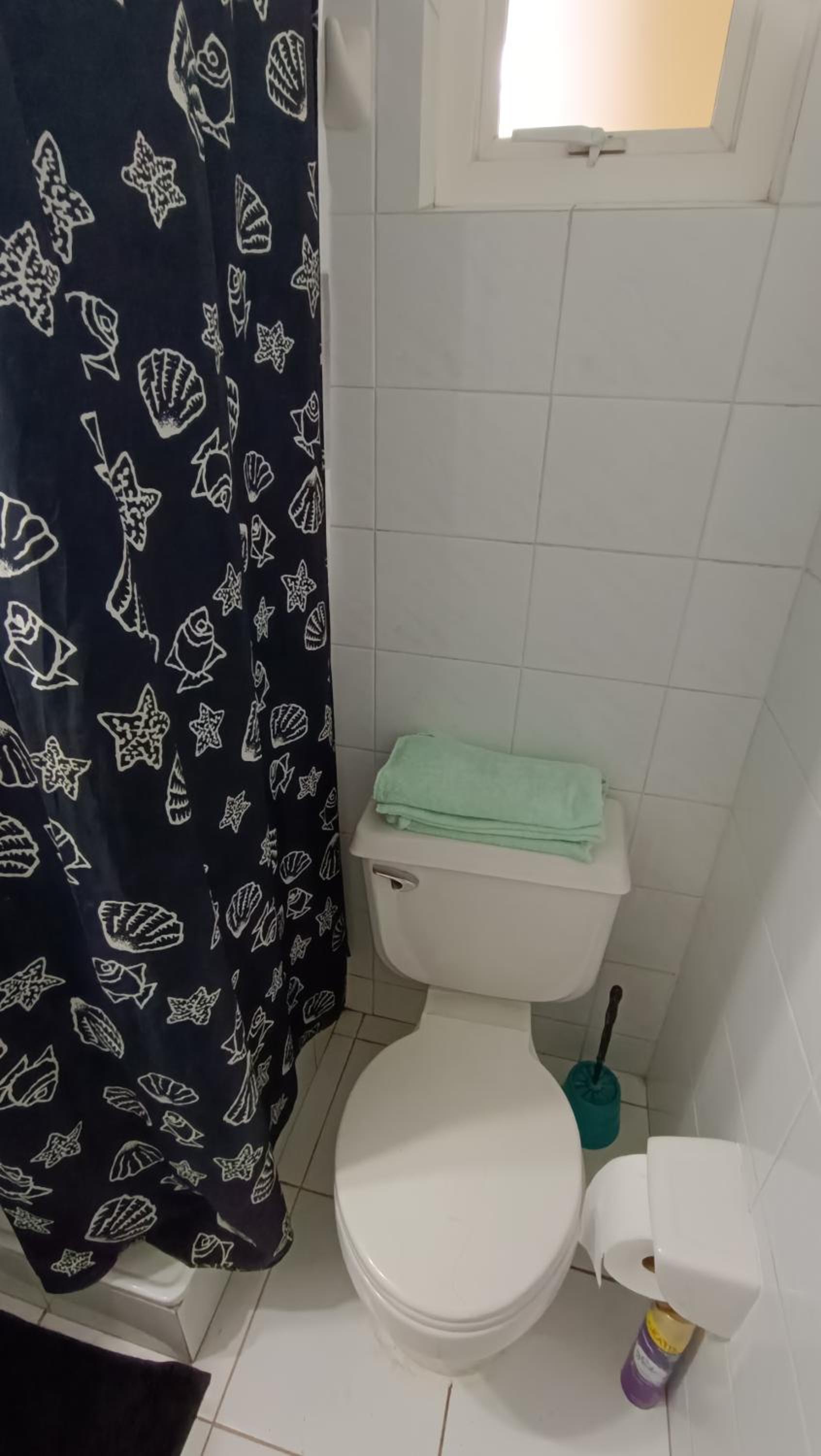 Departamento Bahía Pelícanos, Horcón