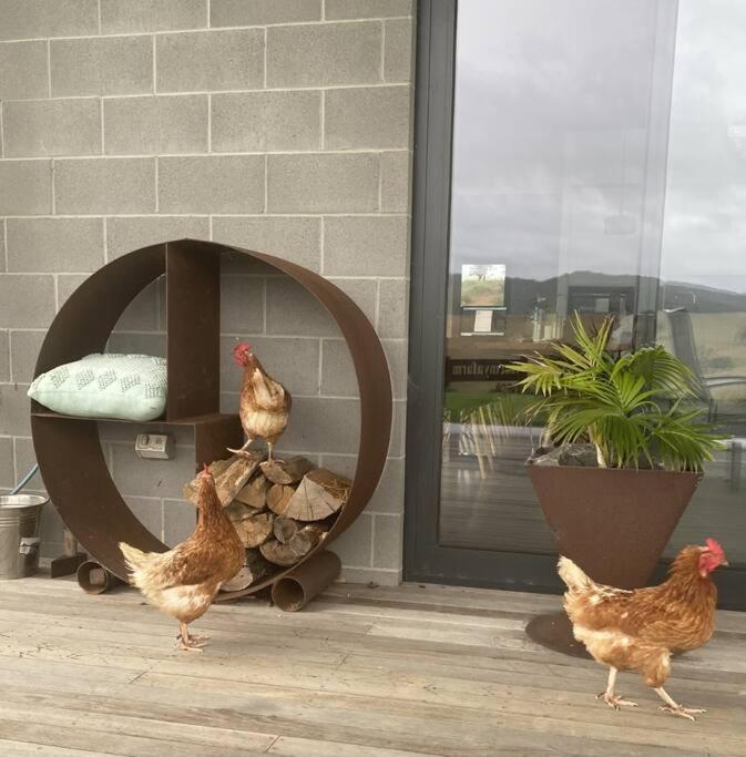Luxury Modern Farm Stay with Country Living