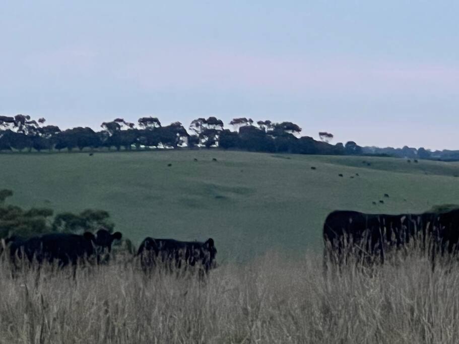 Luxury Modern Farm Stay with Country Living