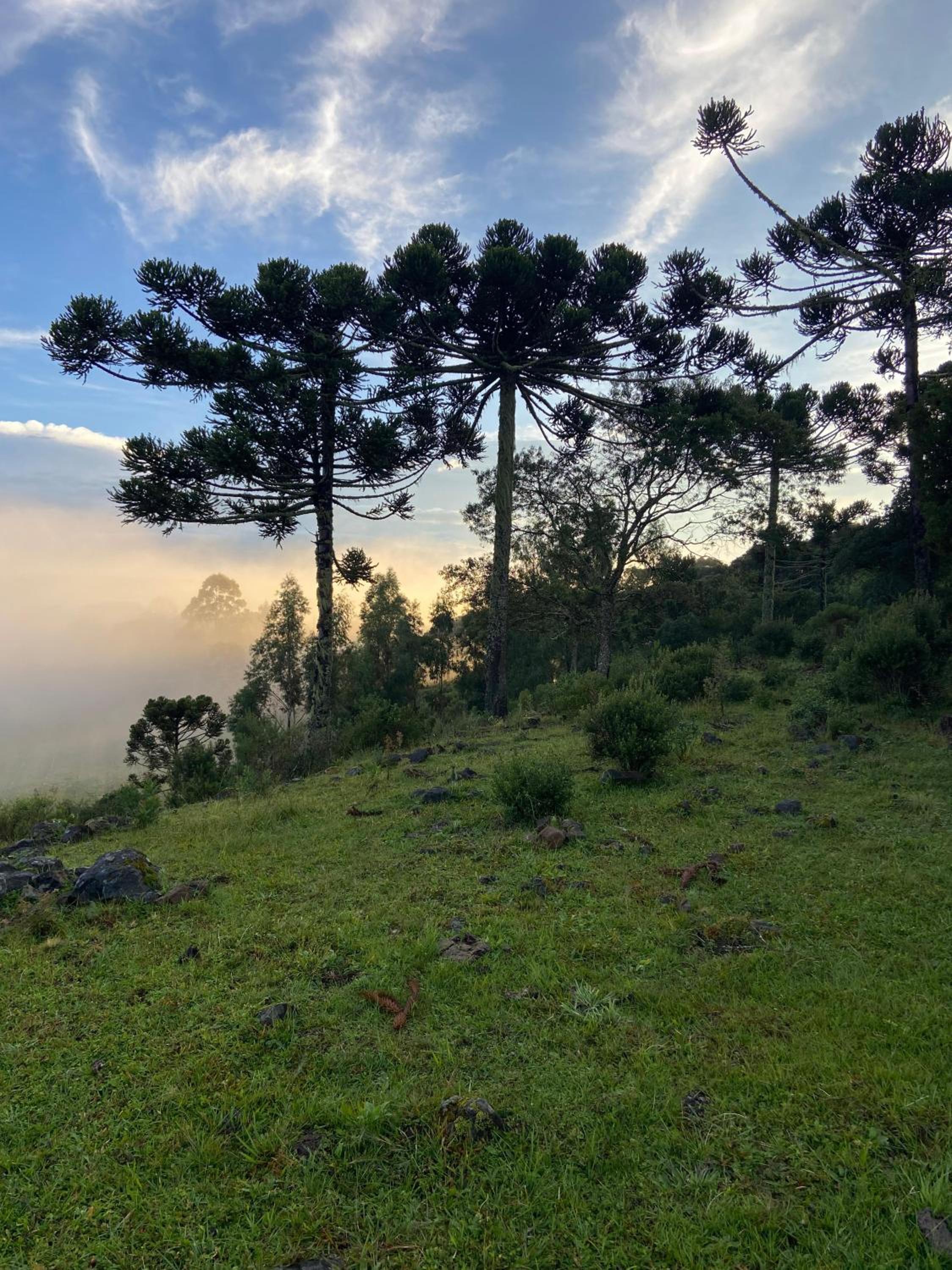 Refugio Rota das Nuvens