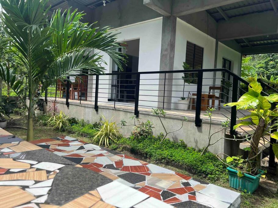 Andrei Holiday House