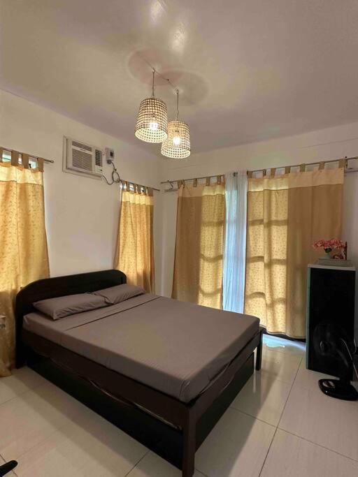 Andrei Holiday House