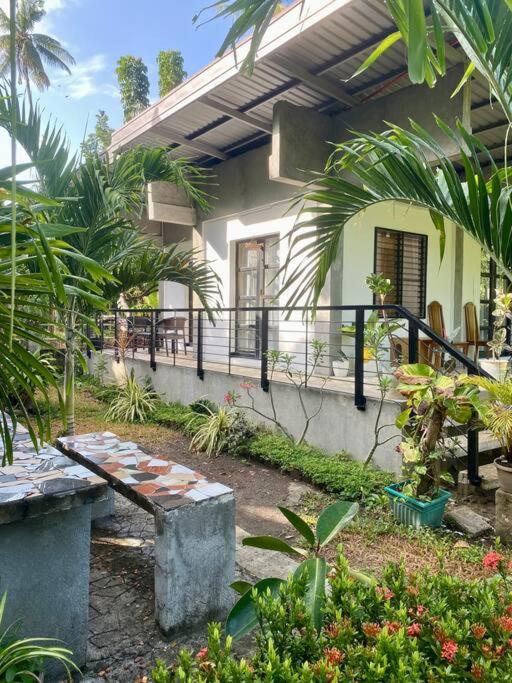 Andrei Holiday House