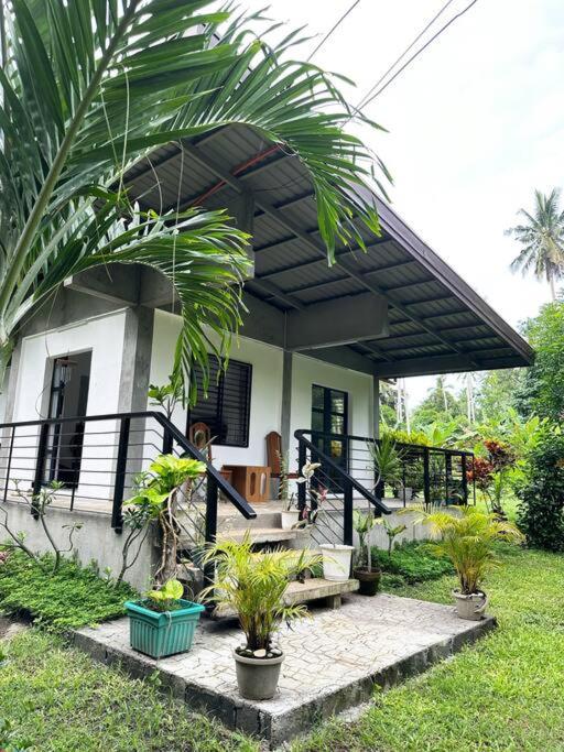 Andrei Holiday House