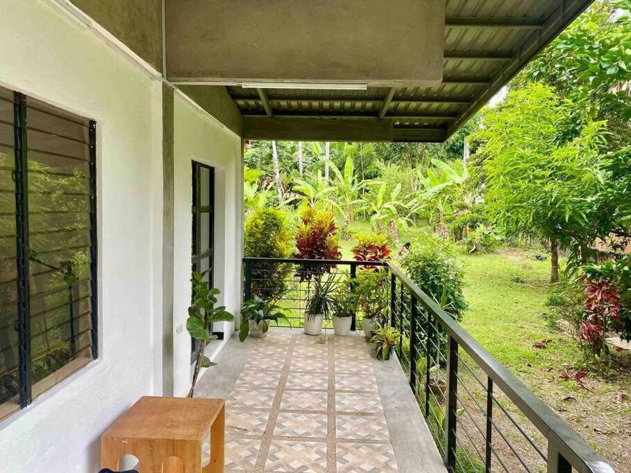 Andrei Holiday House