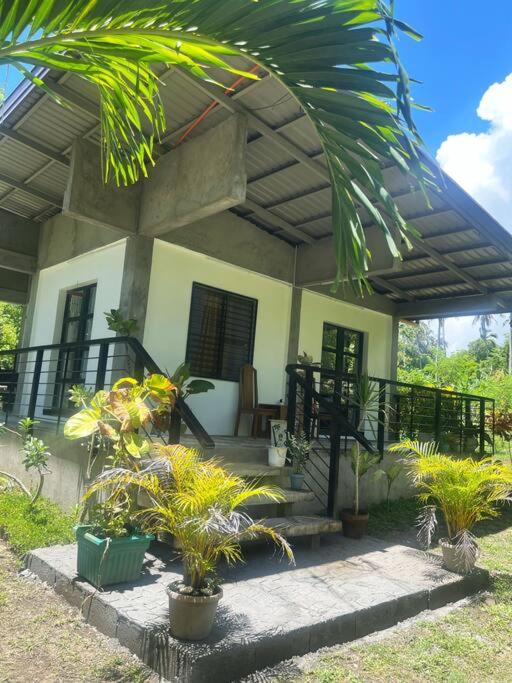 Andrei Holiday House