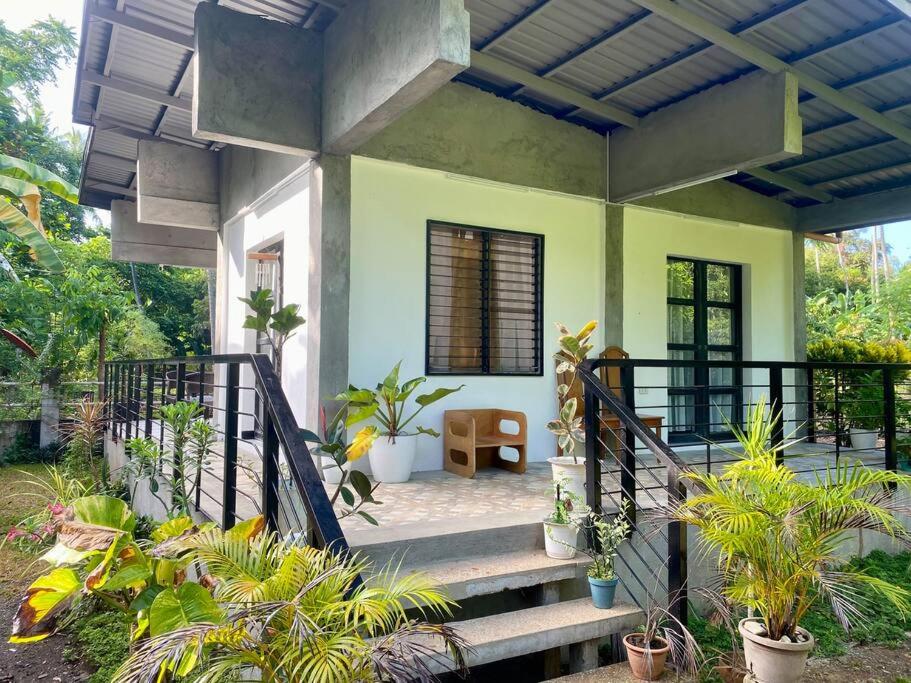 Andrei Holiday House
