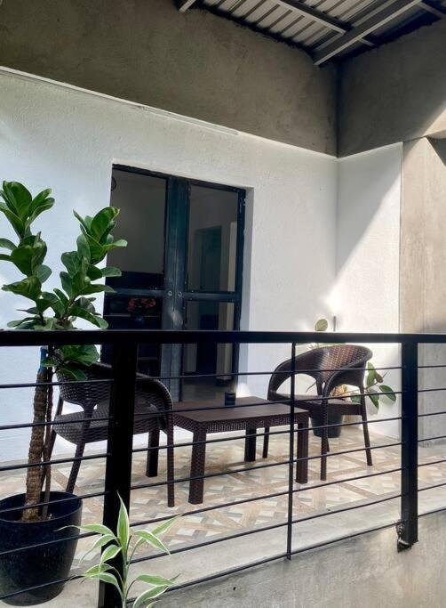 Andrei Holiday House