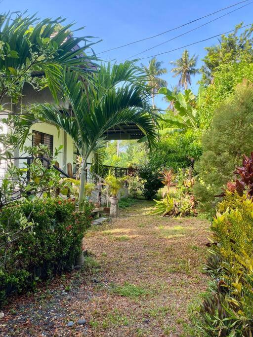 Andrei Holiday House