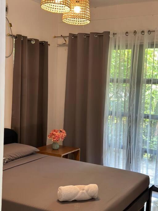 Andrei Holiday House