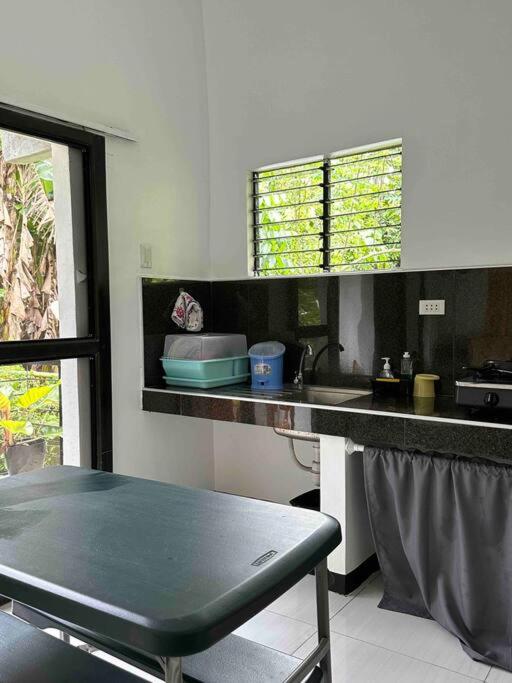 Andrei Holiday House
