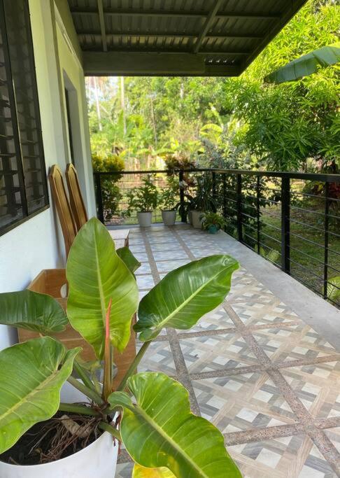 Andrei Holiday House