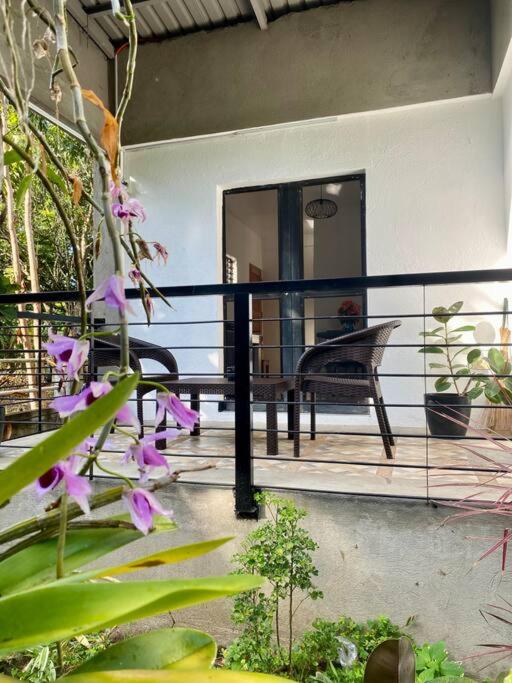 Andrei Holiday House