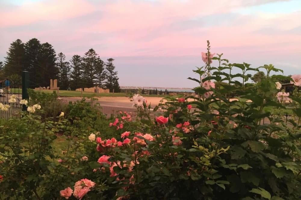 Halcyon 11 The Strand Port Elliot - WIFI - Pet Friendly - No Linen Included