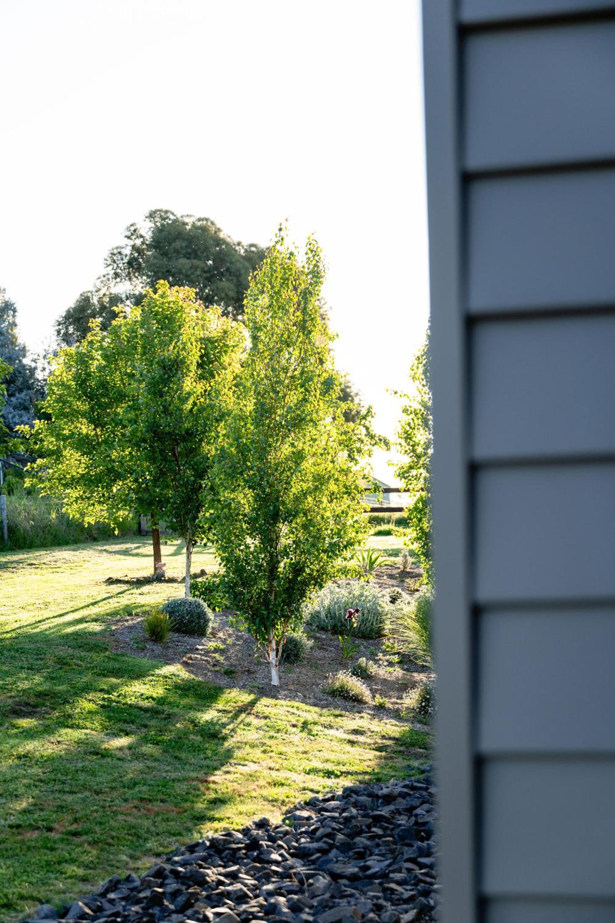 Loft House - On Heifer Station Vineyard