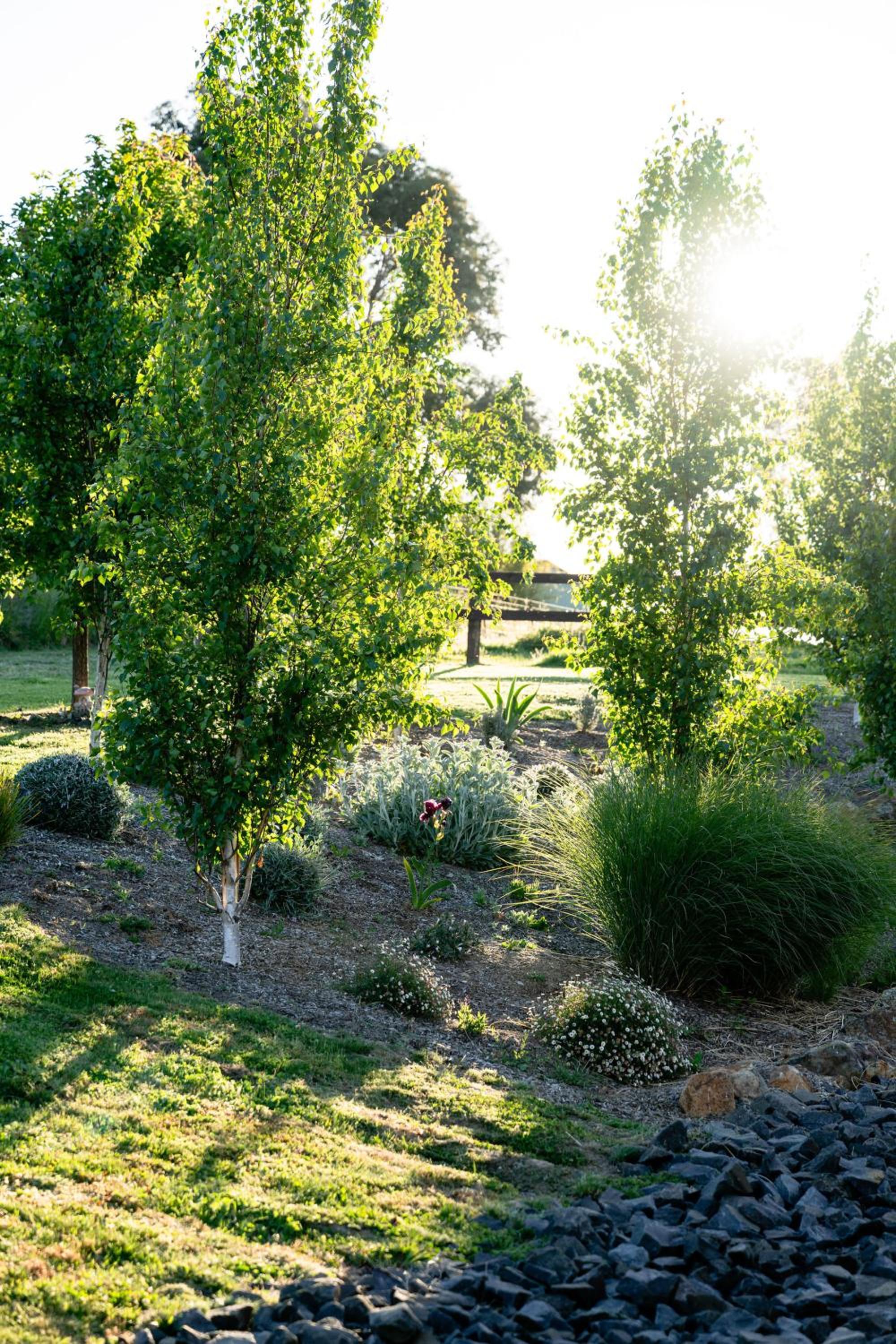 Loft House - On Heifer Station Vineyard