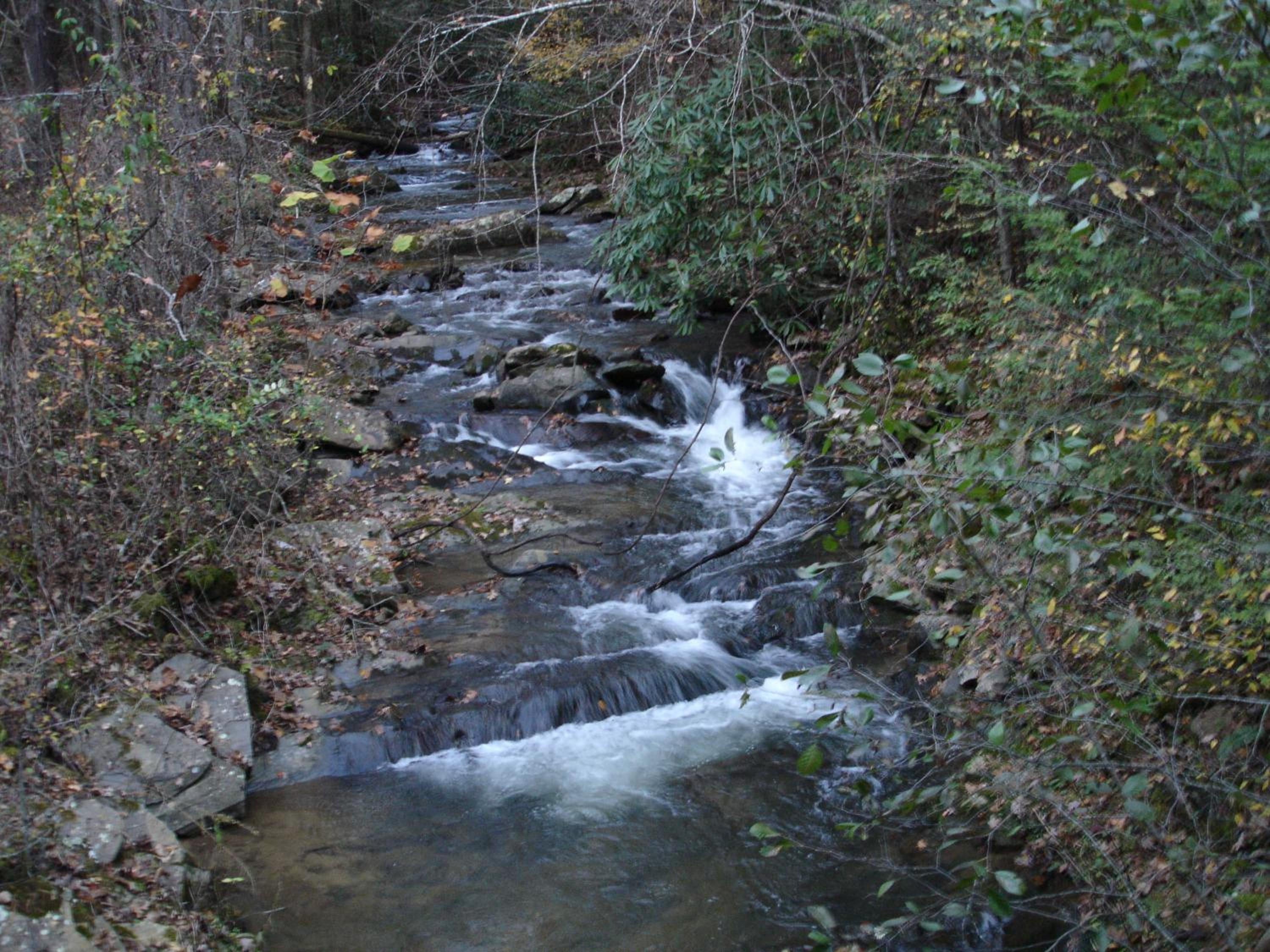 Photo 77
