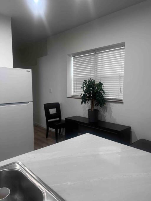 Renovated 3 bedroom for Professionals view 4