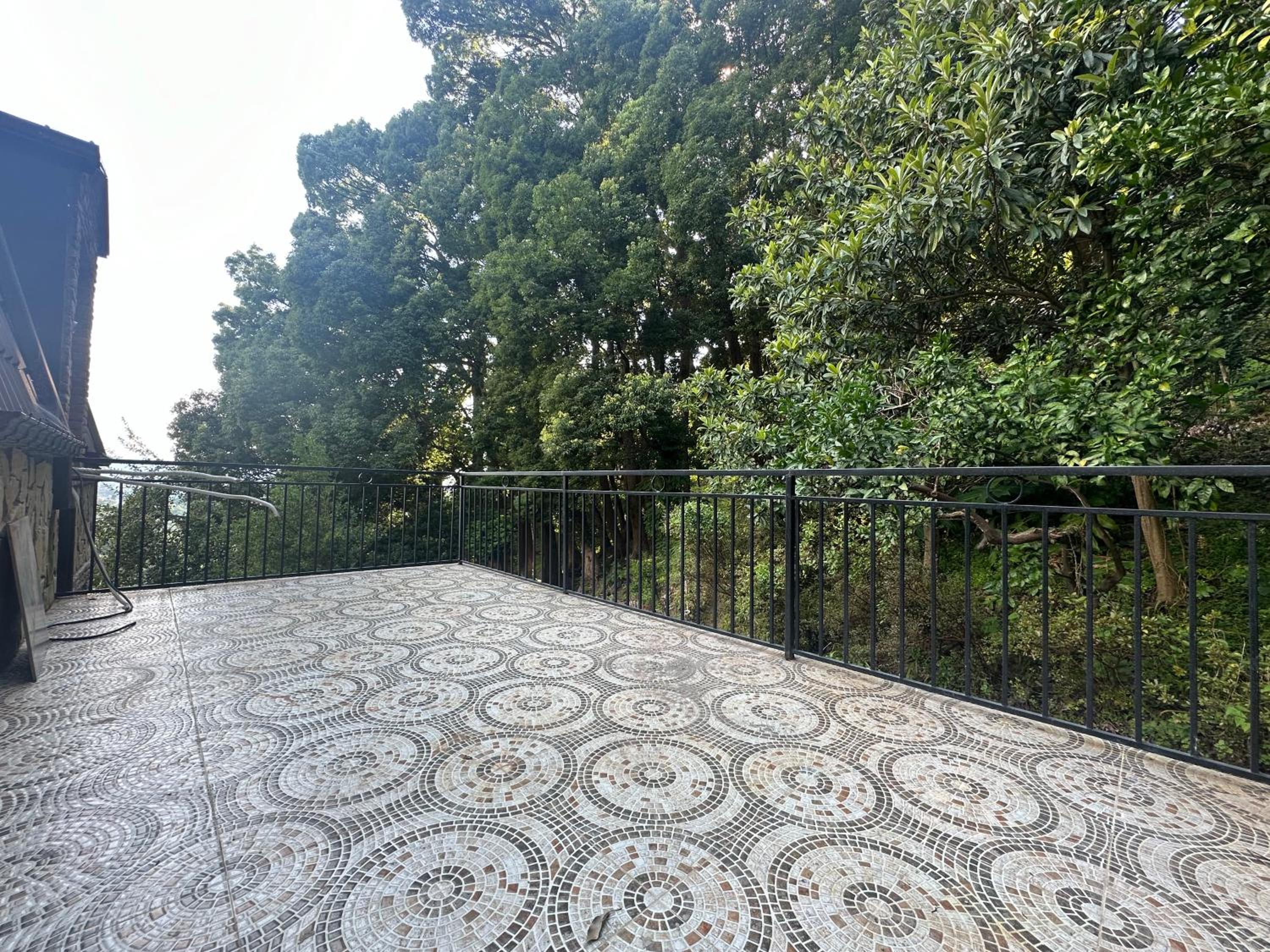 Camphor house