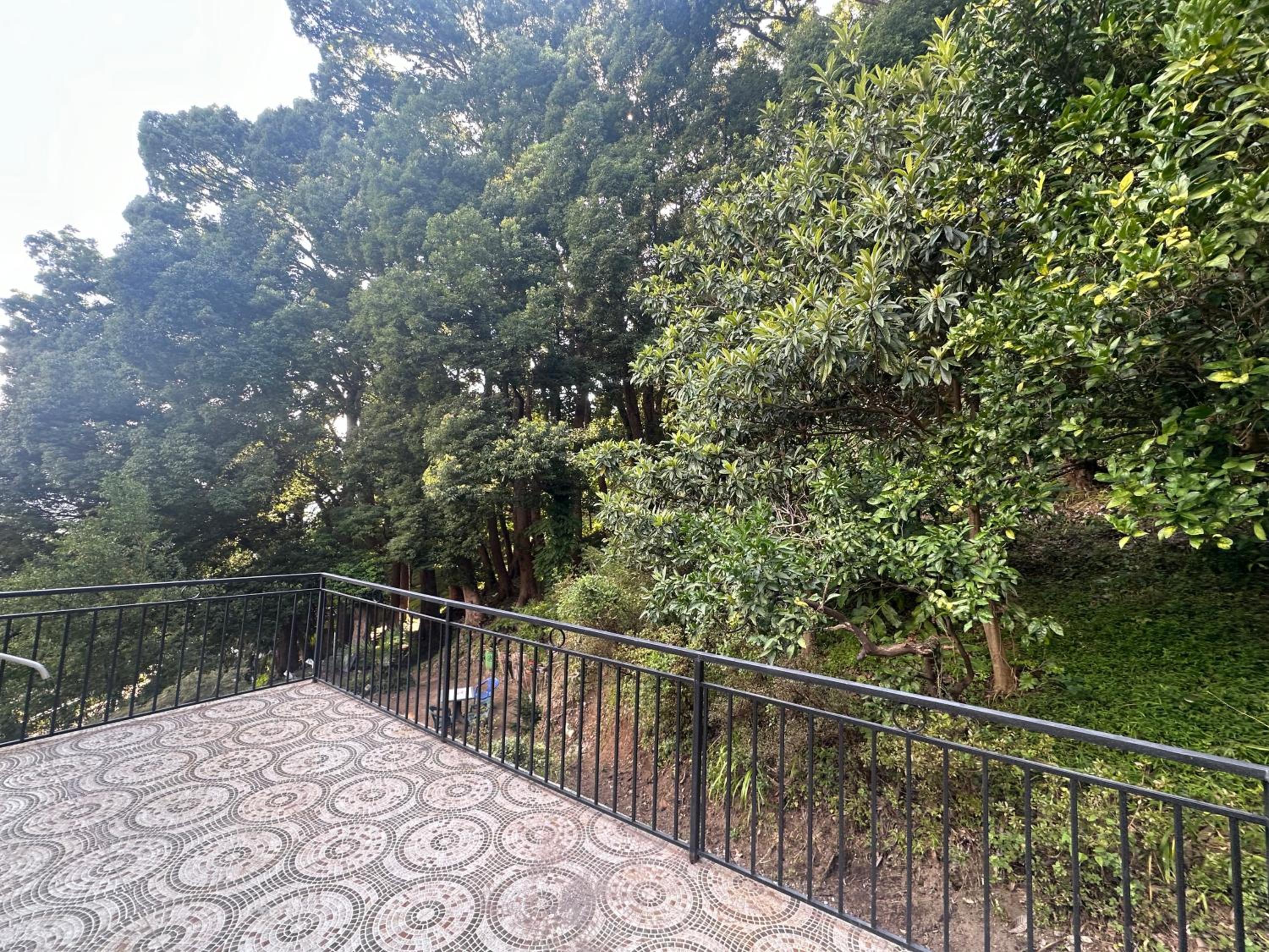 Camphor house