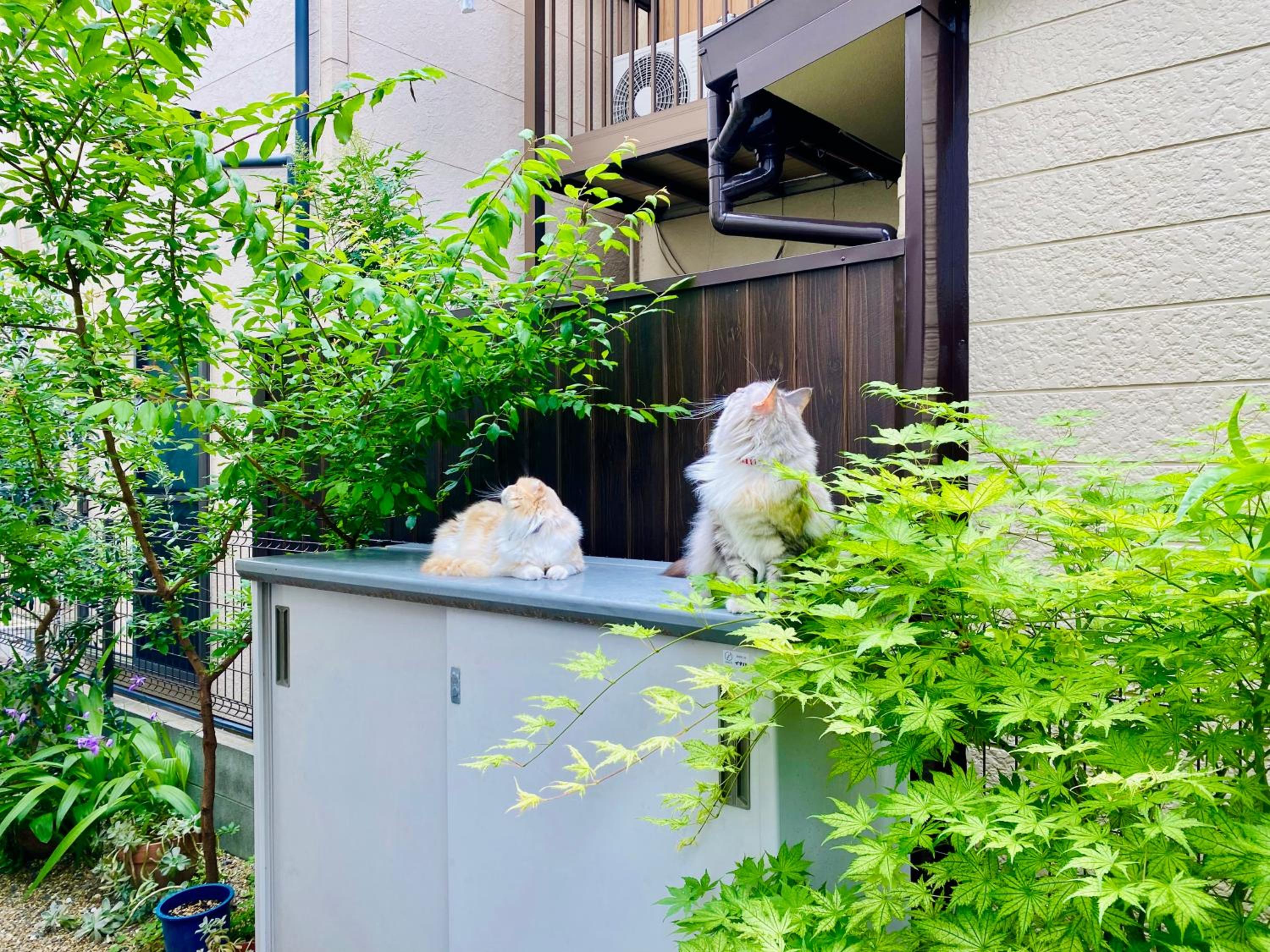 遥華-Haruka House view 4