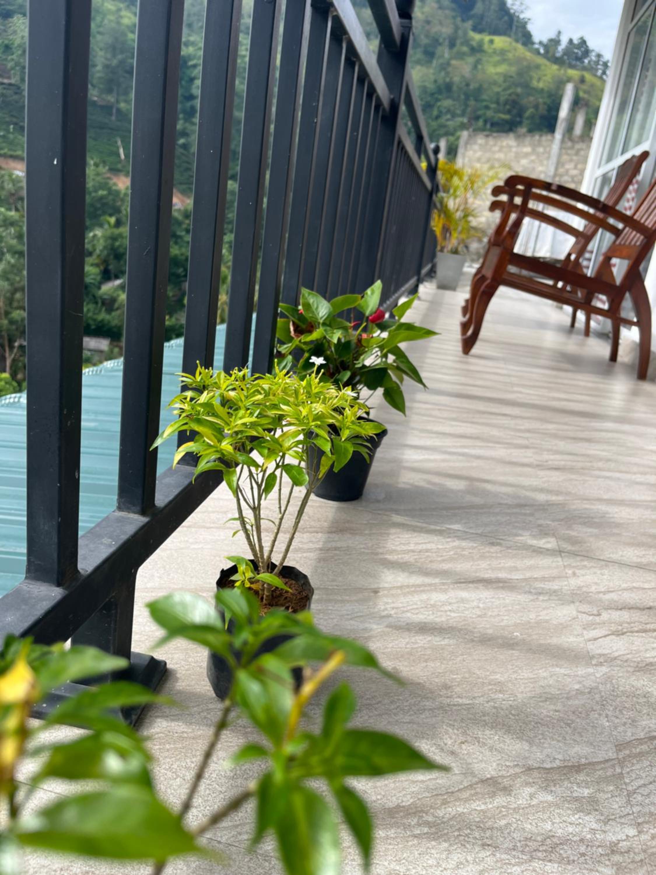 Ella Aura view homestay