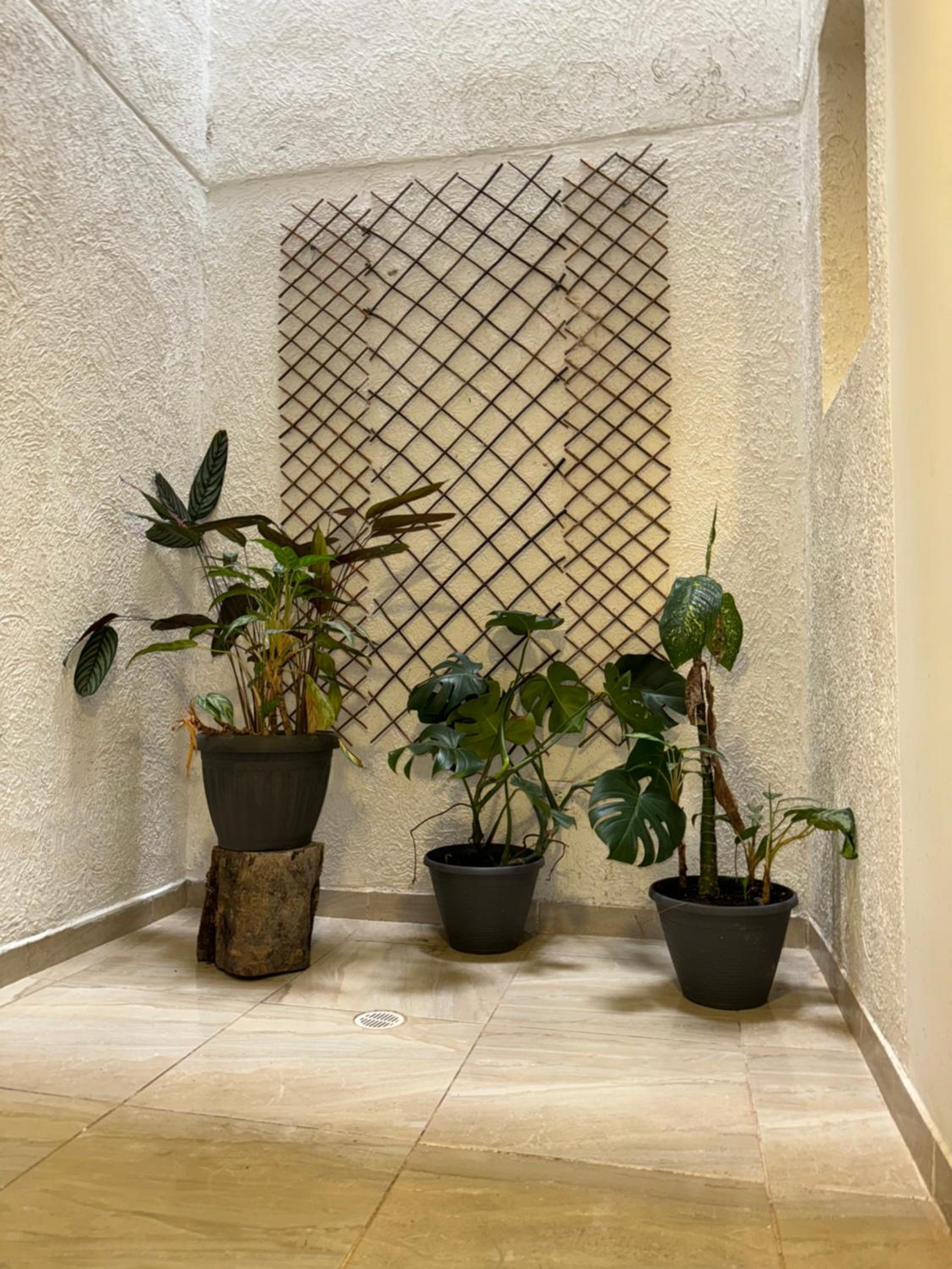 Casa Villa Paz Salento