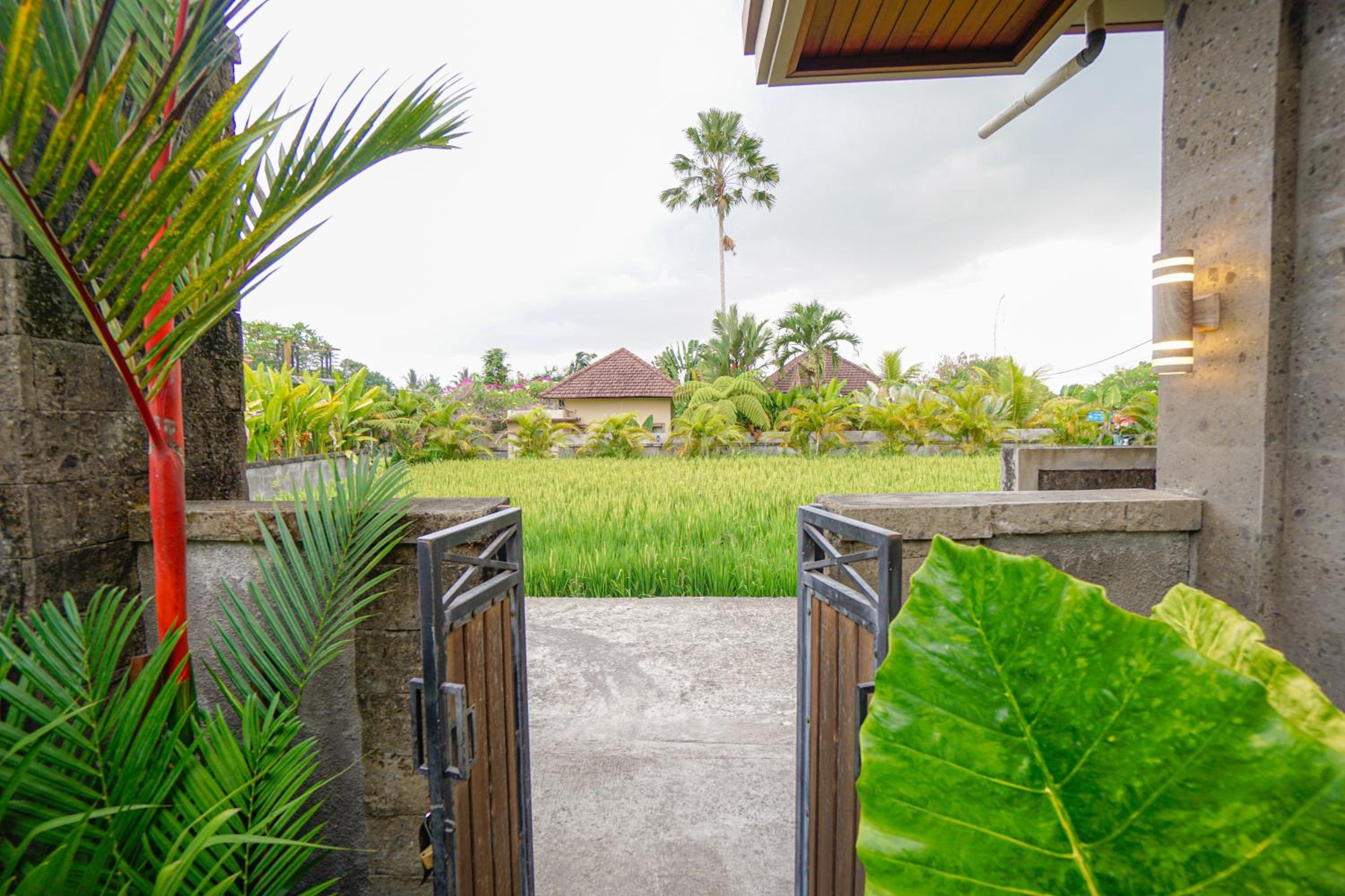 Delvana Villa 2