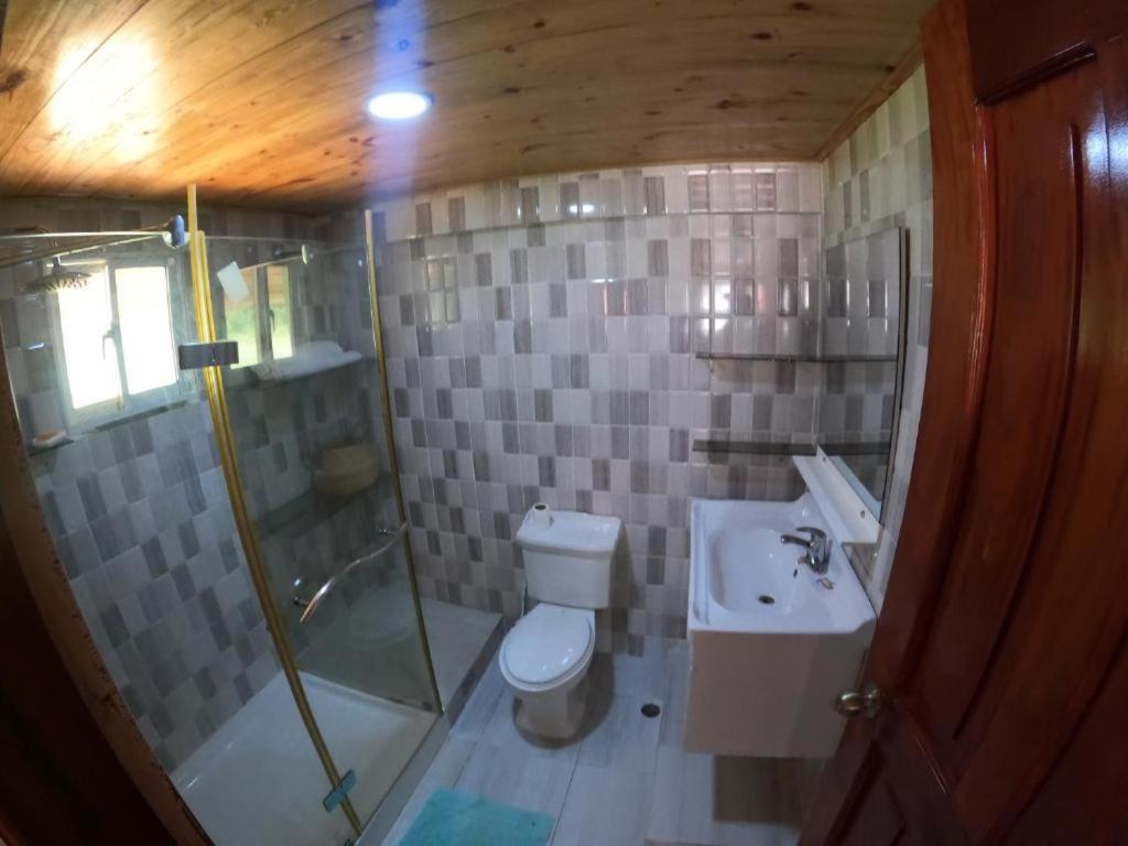 Photo 43