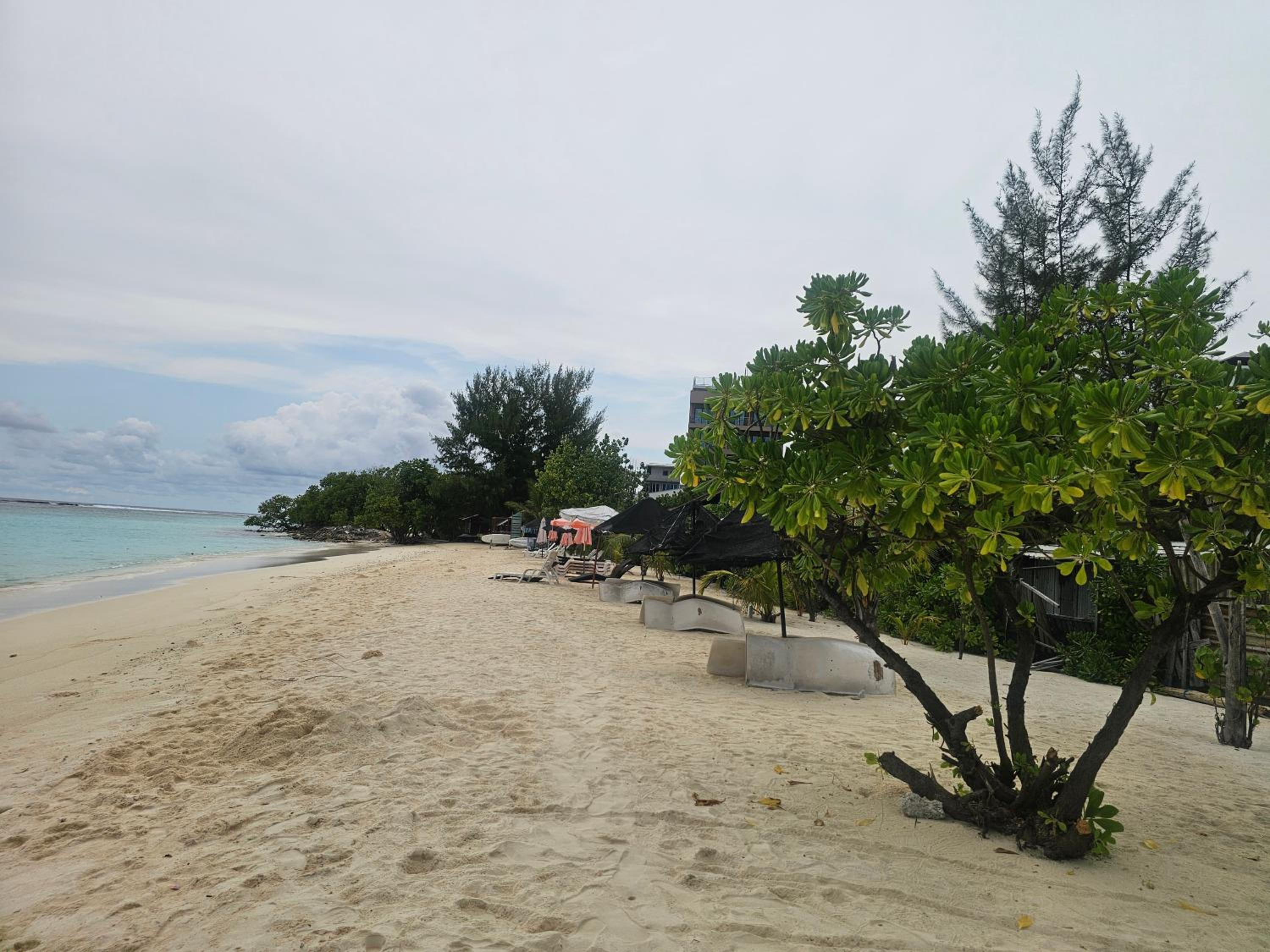 Coquillage Inn