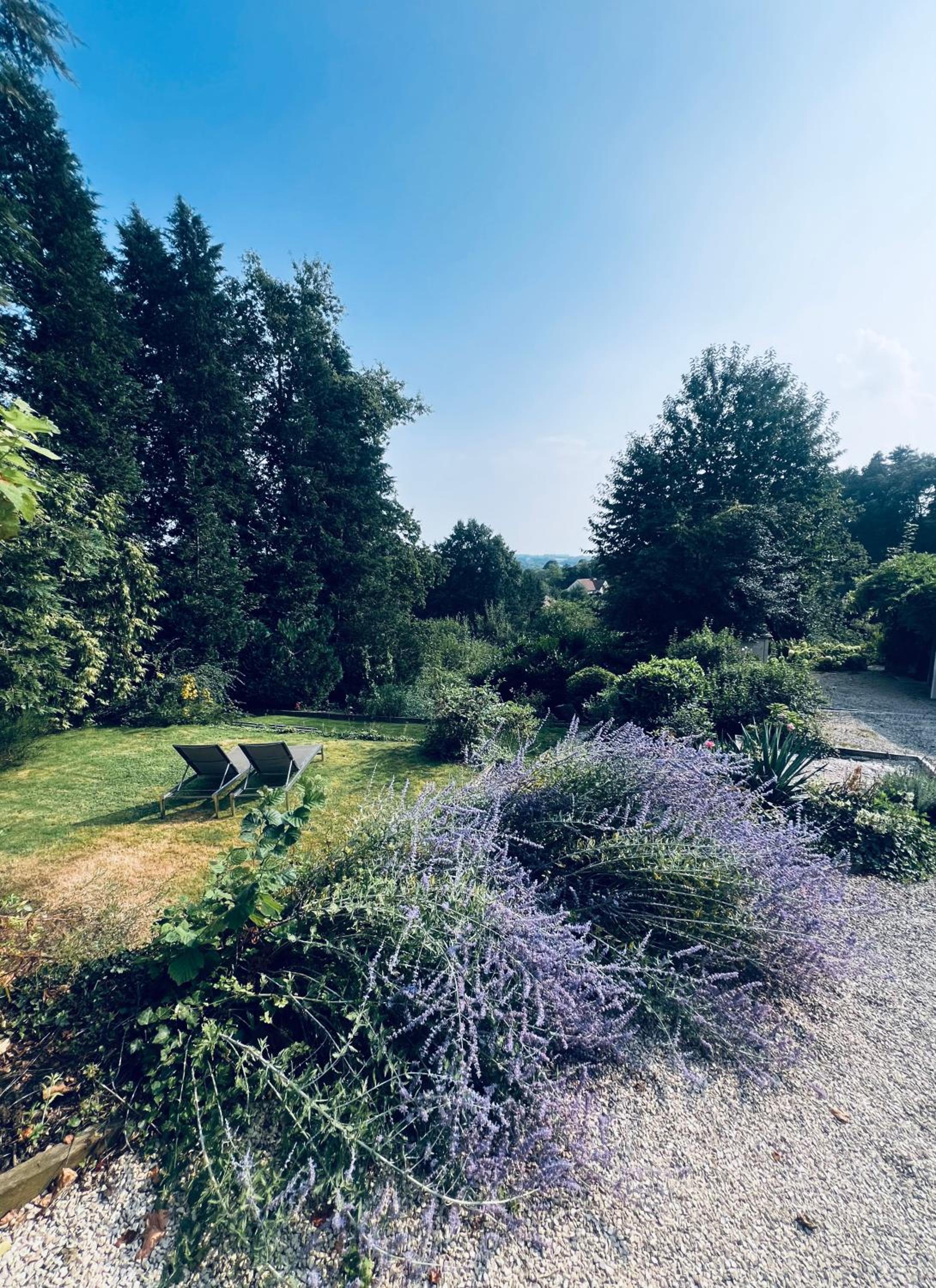 Bois de Hal