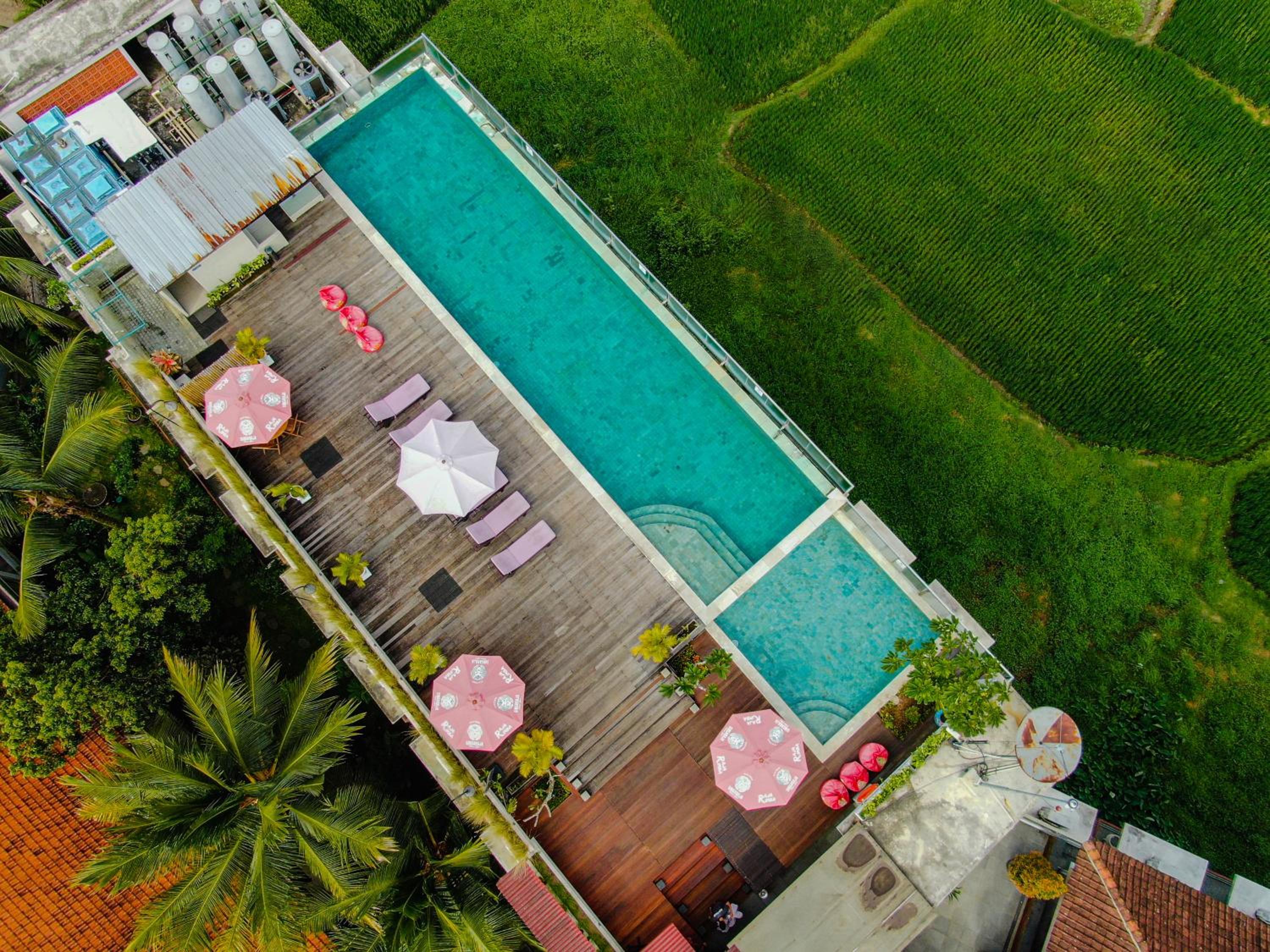 The Evitel Resort Ubud