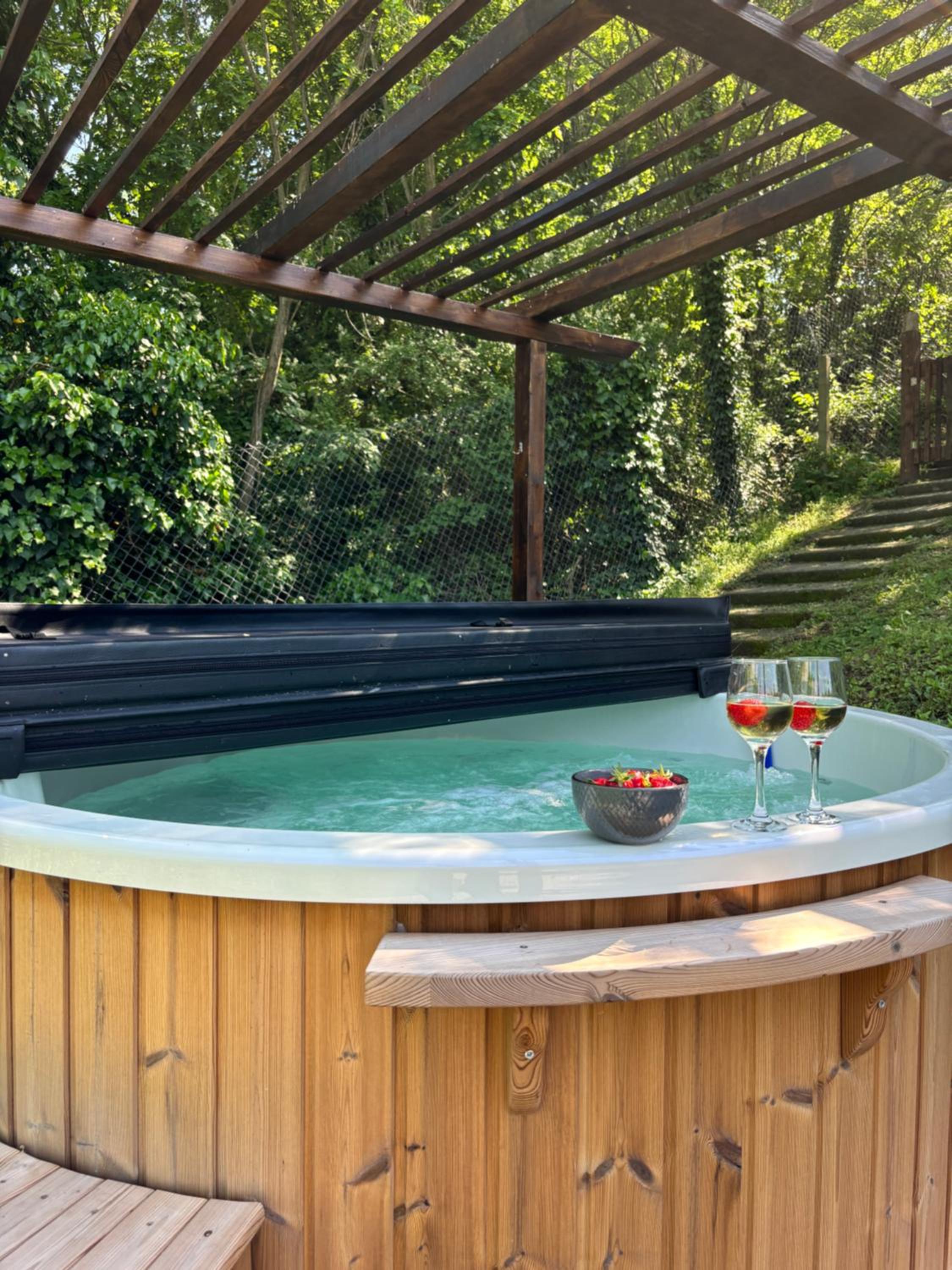 East Mountain Villa - Private Nature Retreat in Baranja view 2