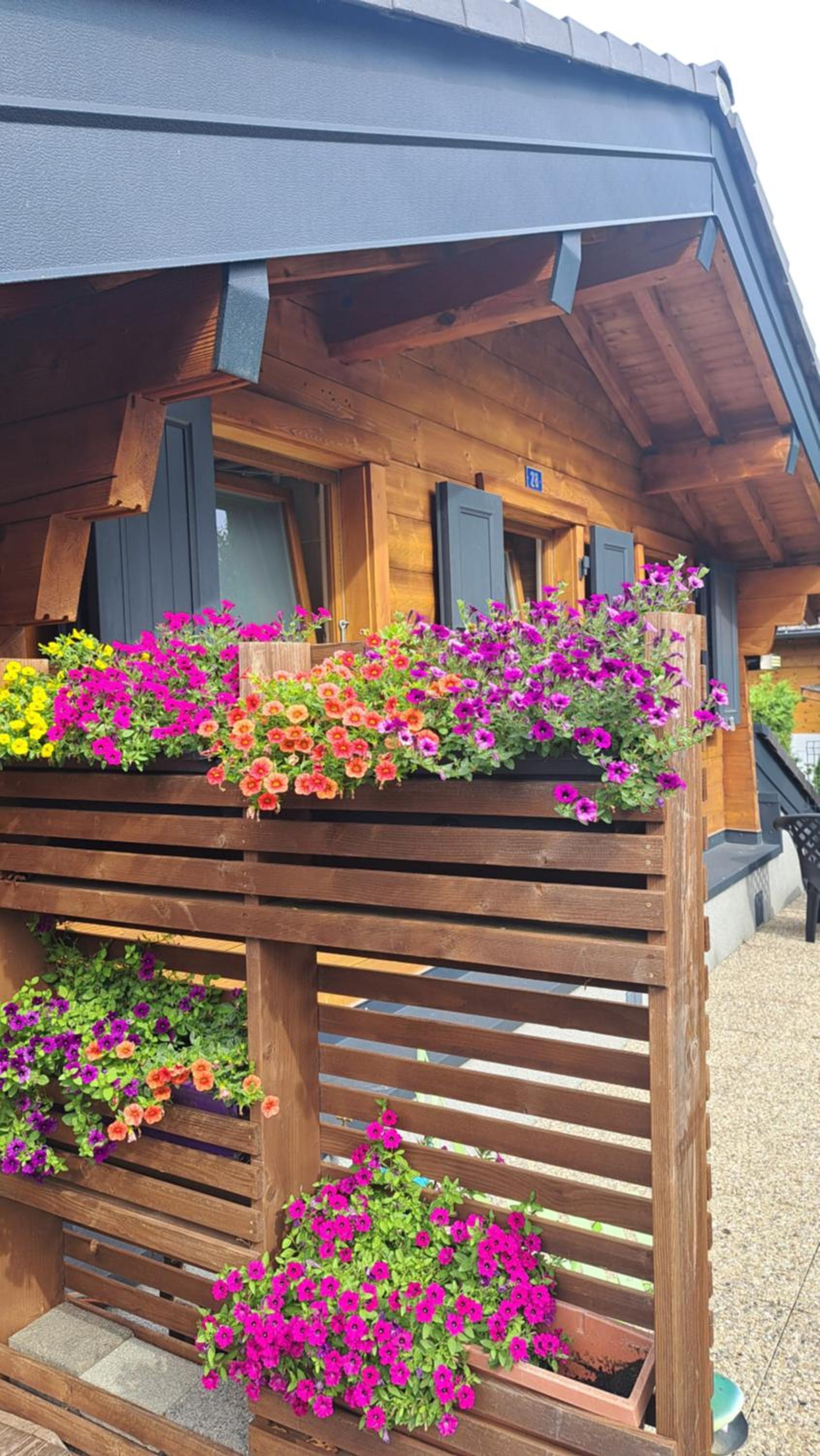 Alt'O Martinets 28, 1996 Basse-Nendaz