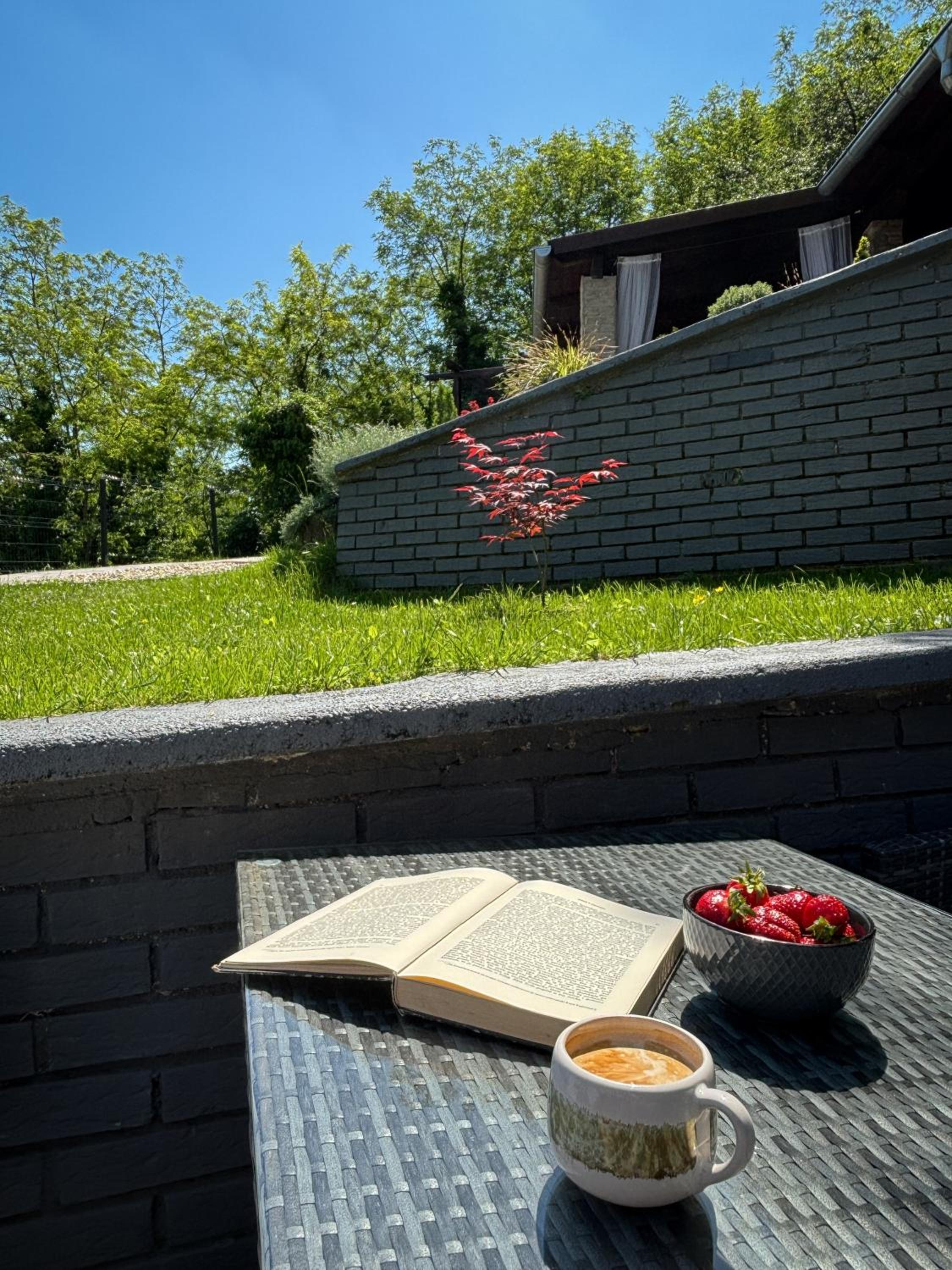 East Mountain Villa - Private Nature Retreat in Baranja view 4
