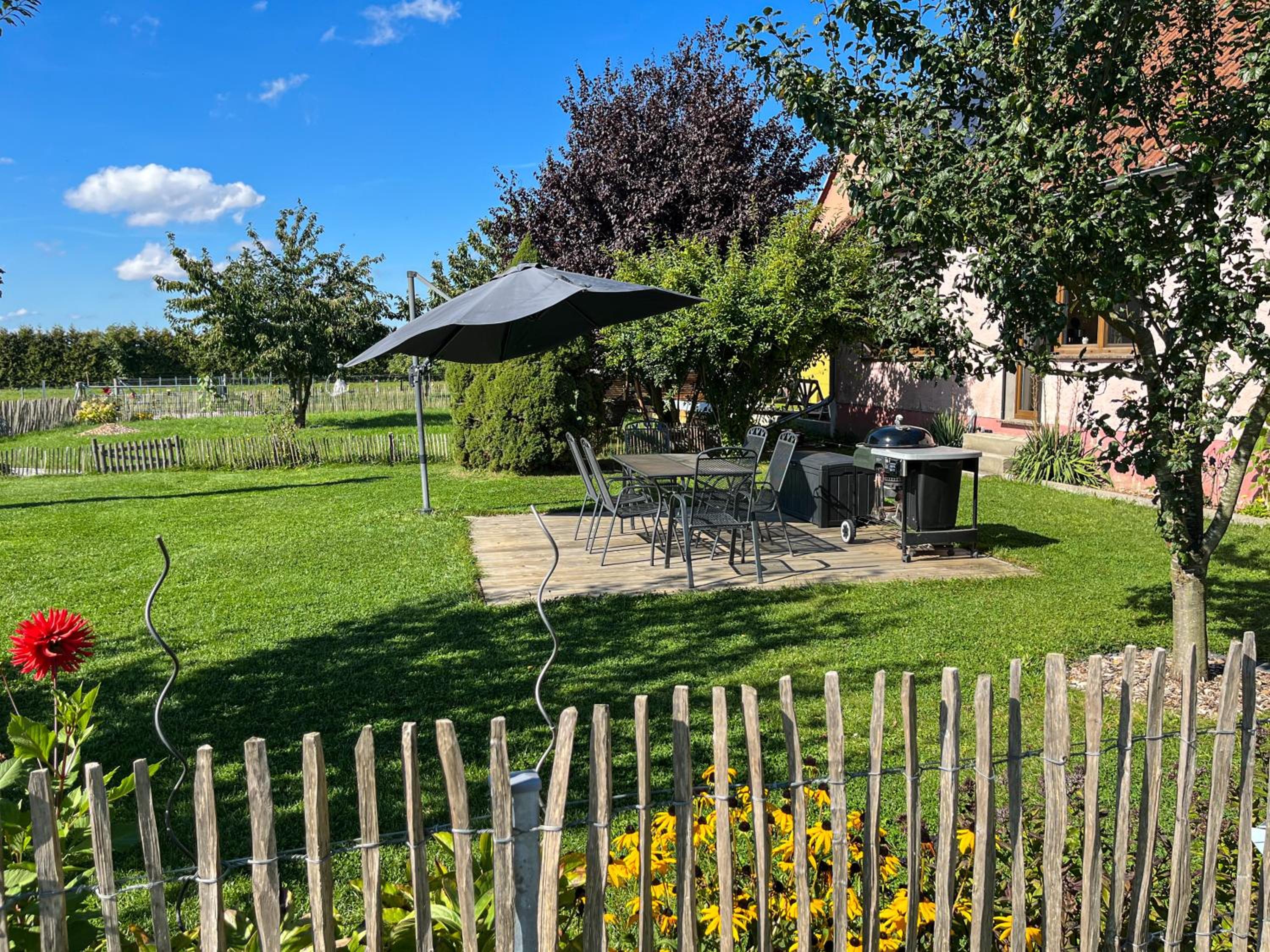 Ferienwohnung auf dem Alpaka-Hof view 4