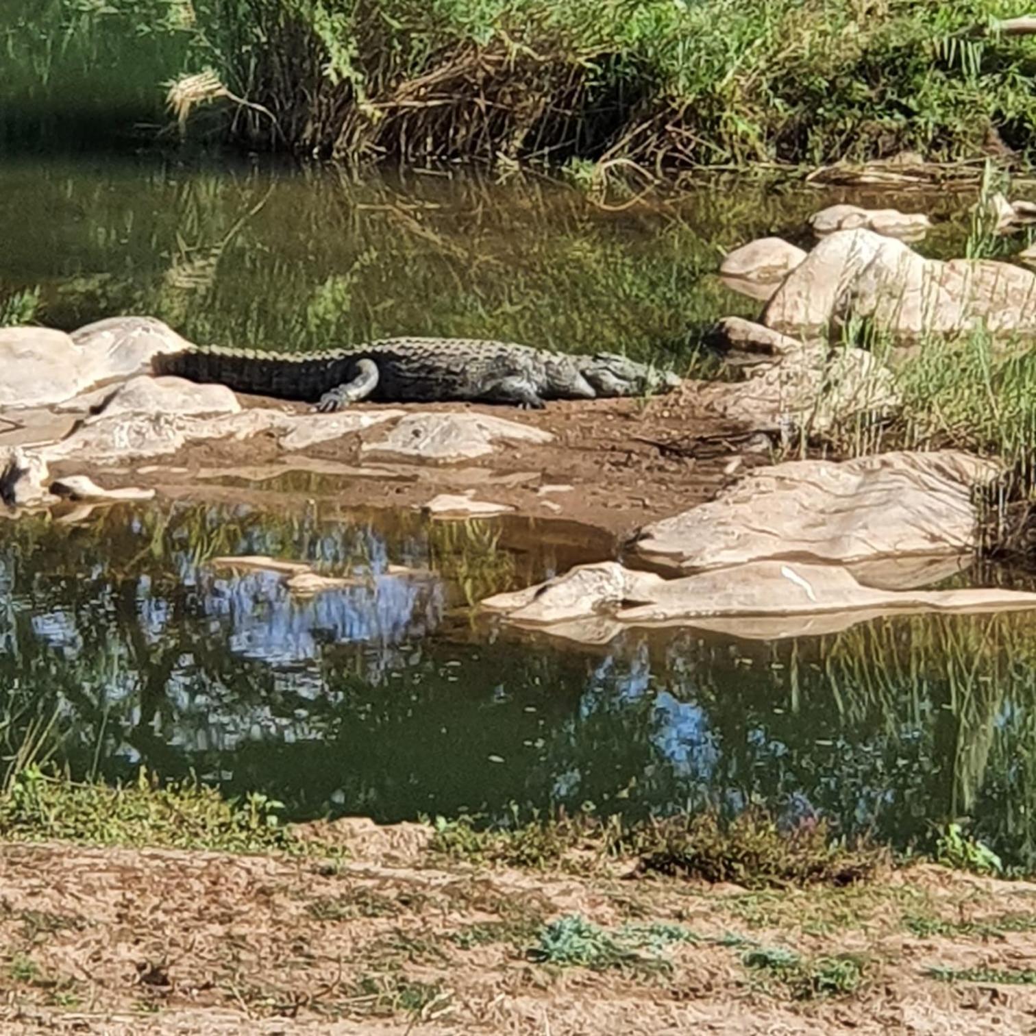 Ekuthuleni River Front Chalets Hoedspruit