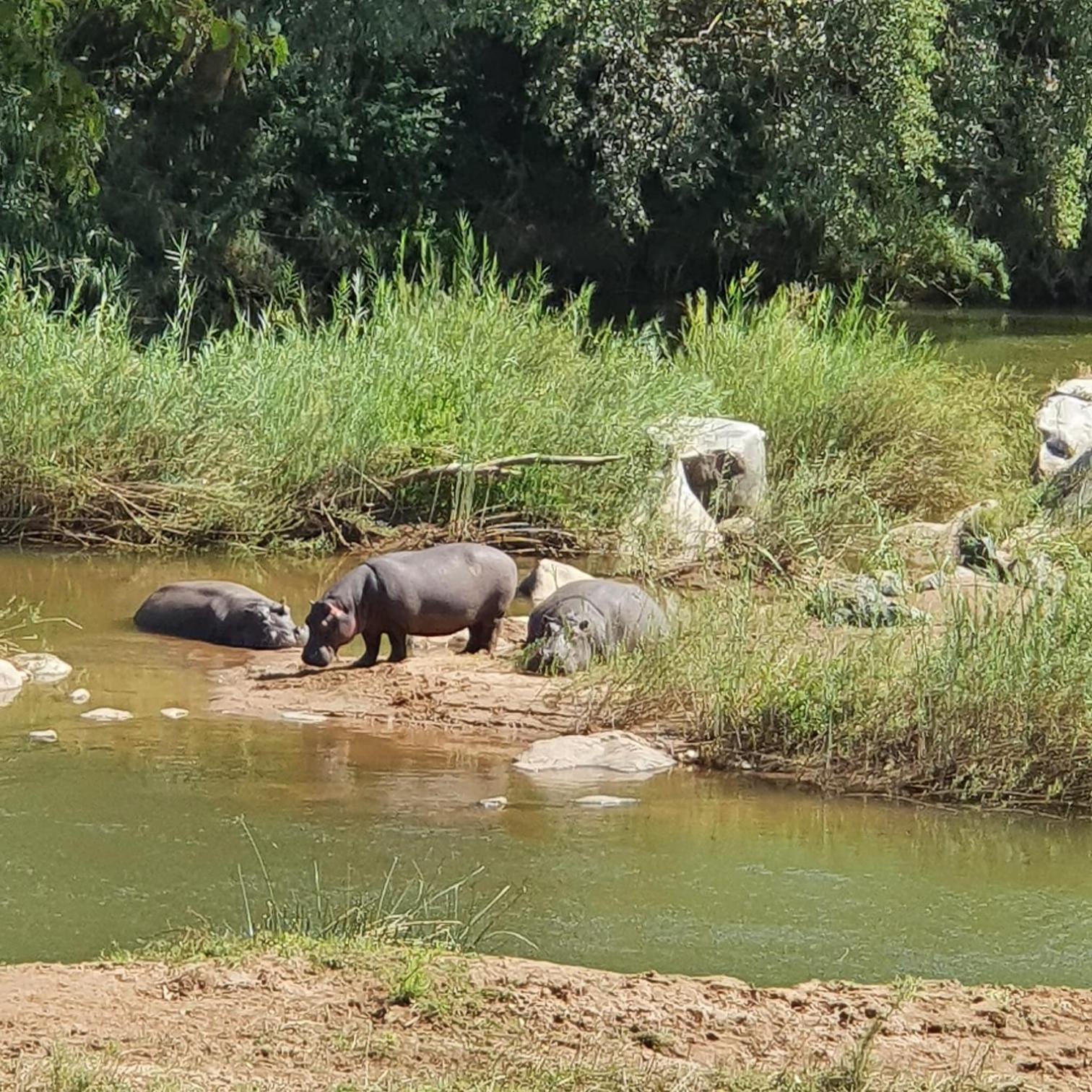 Ekuthuleni River Front Chalets Hoedspruit