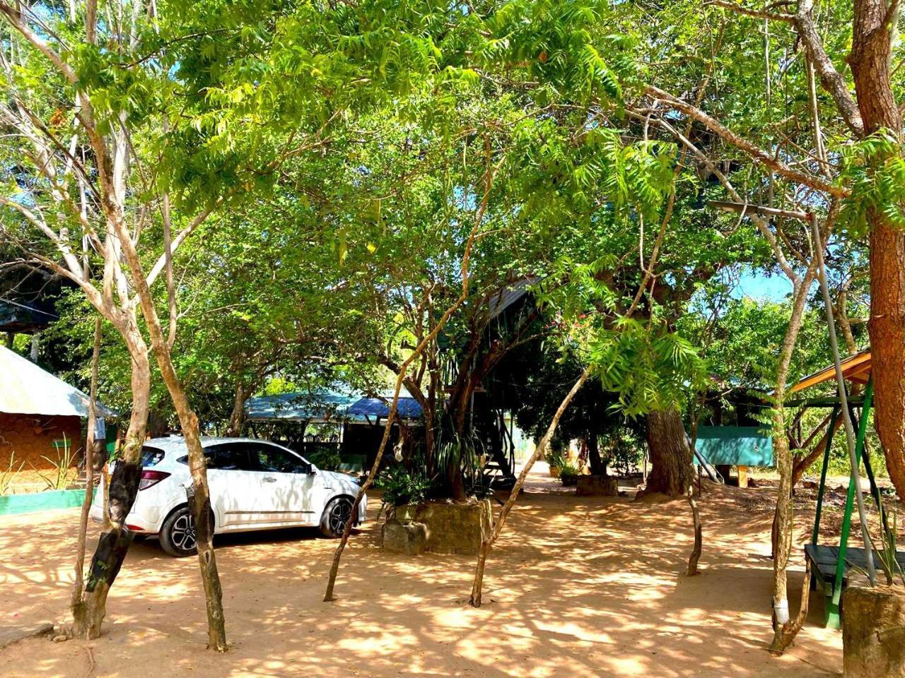 Single Trees Yala view 5
