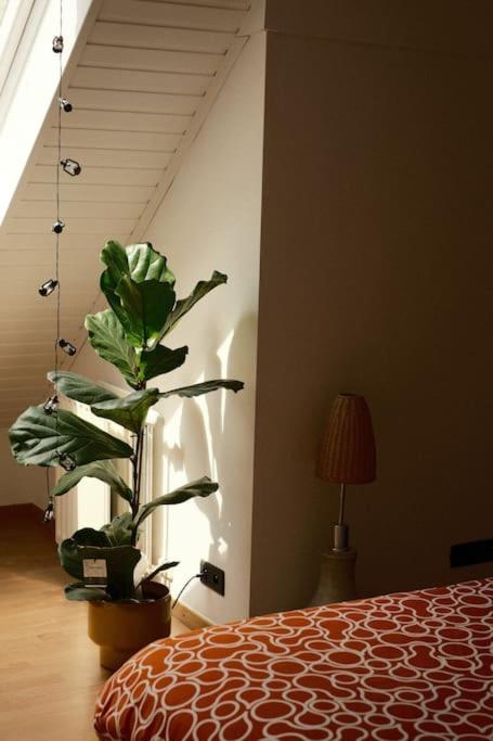 Pinecone Hideaway - huis in het bos