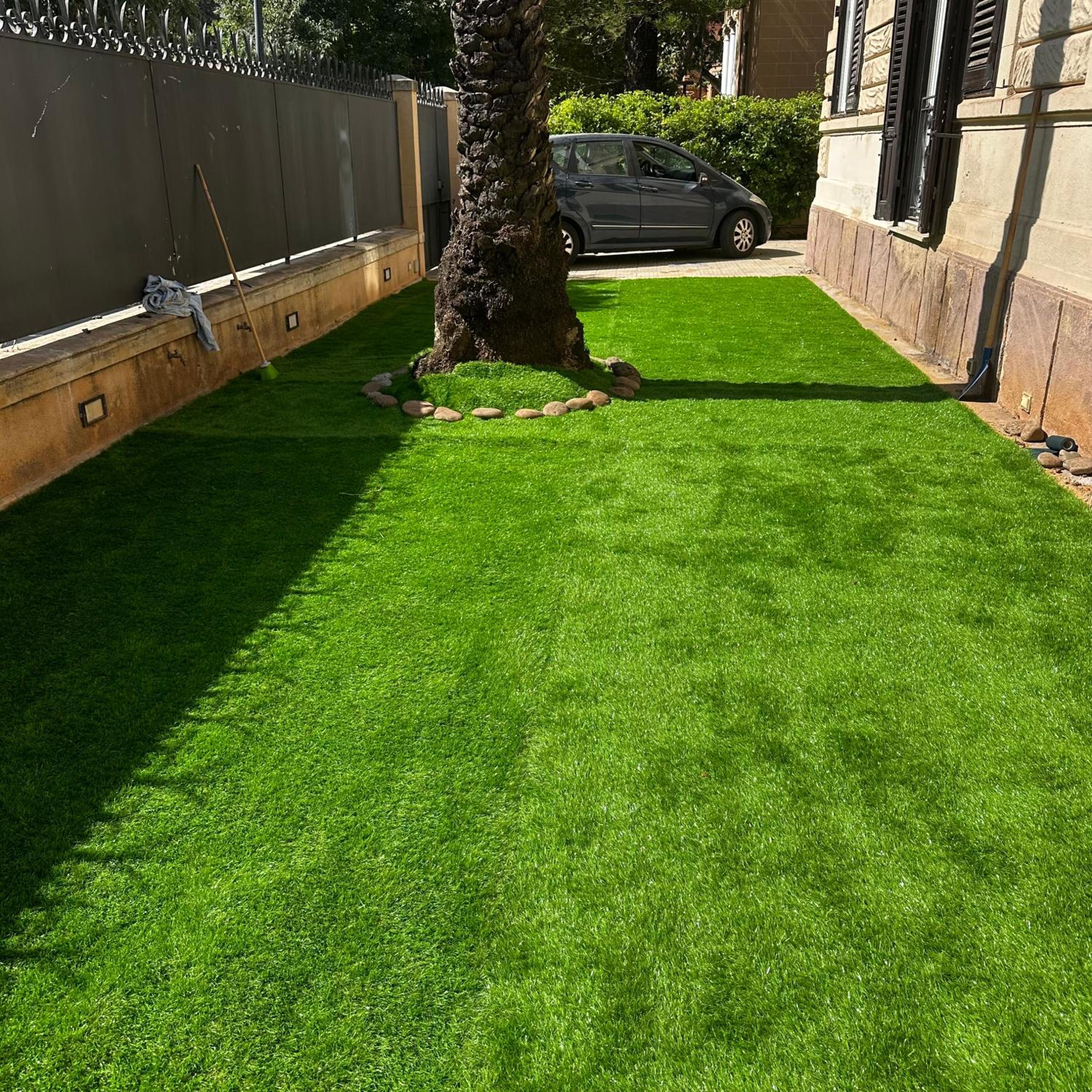 Photo 15