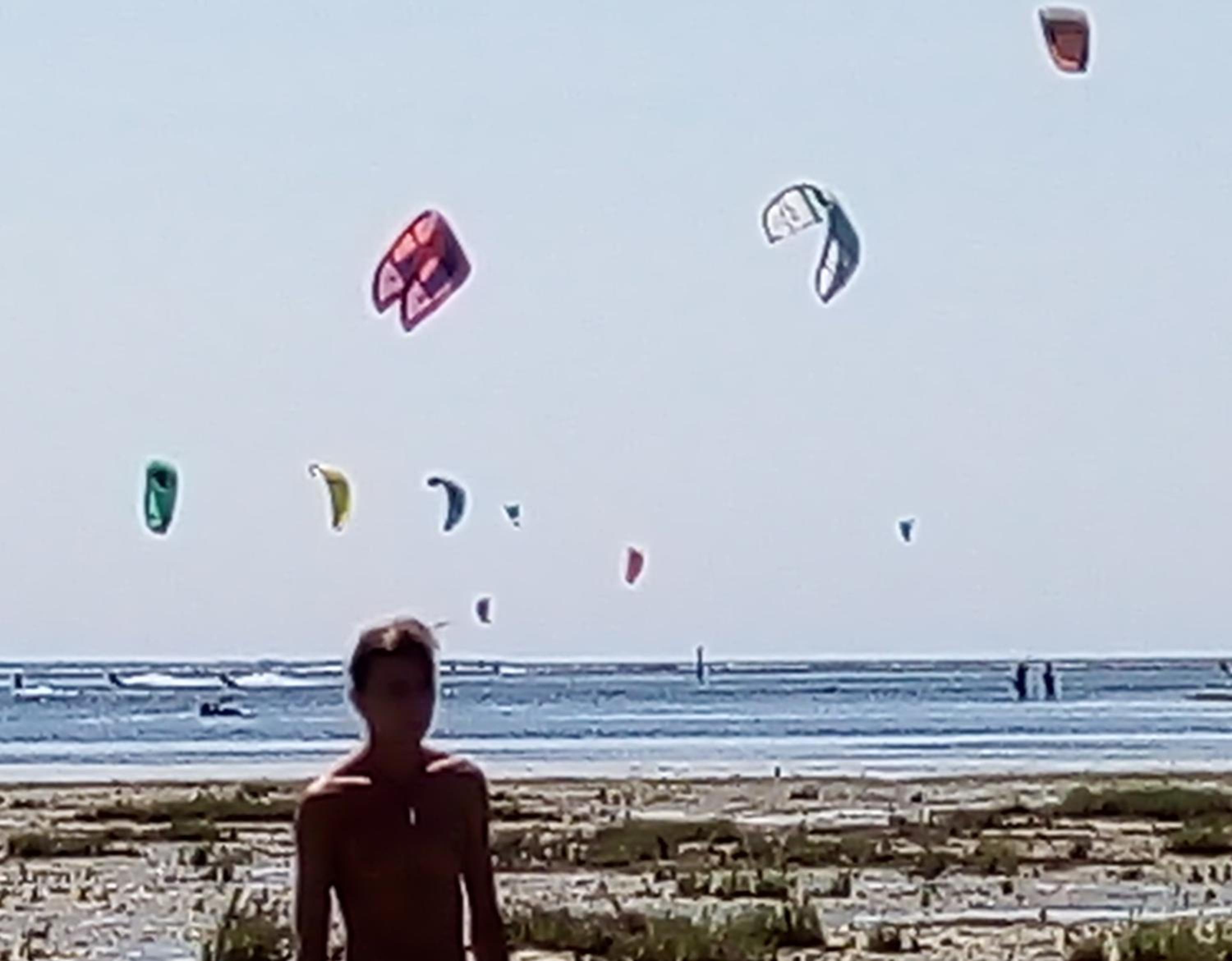 Photo 40