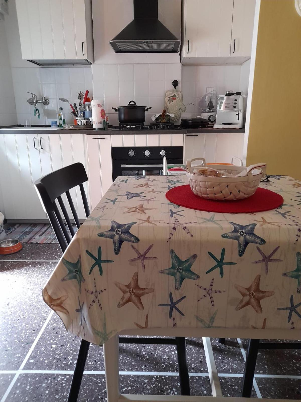 Rapallino house