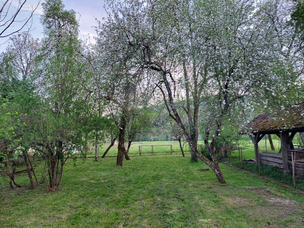 Photo 41