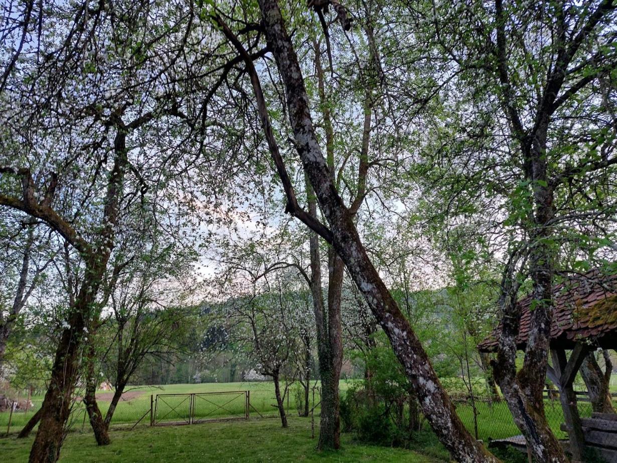 Photo 42