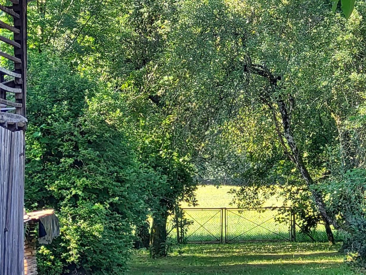 Photo 44