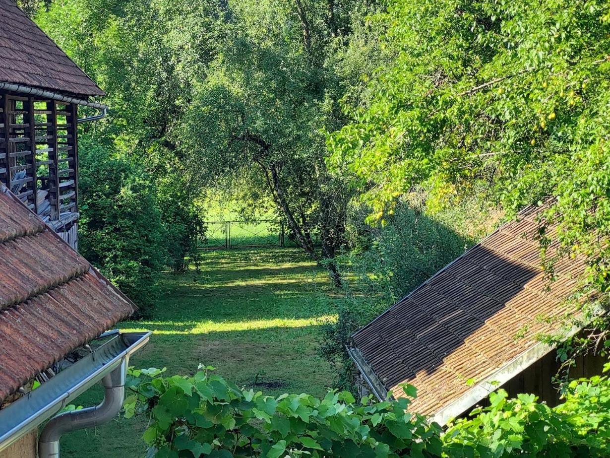 Photo 43