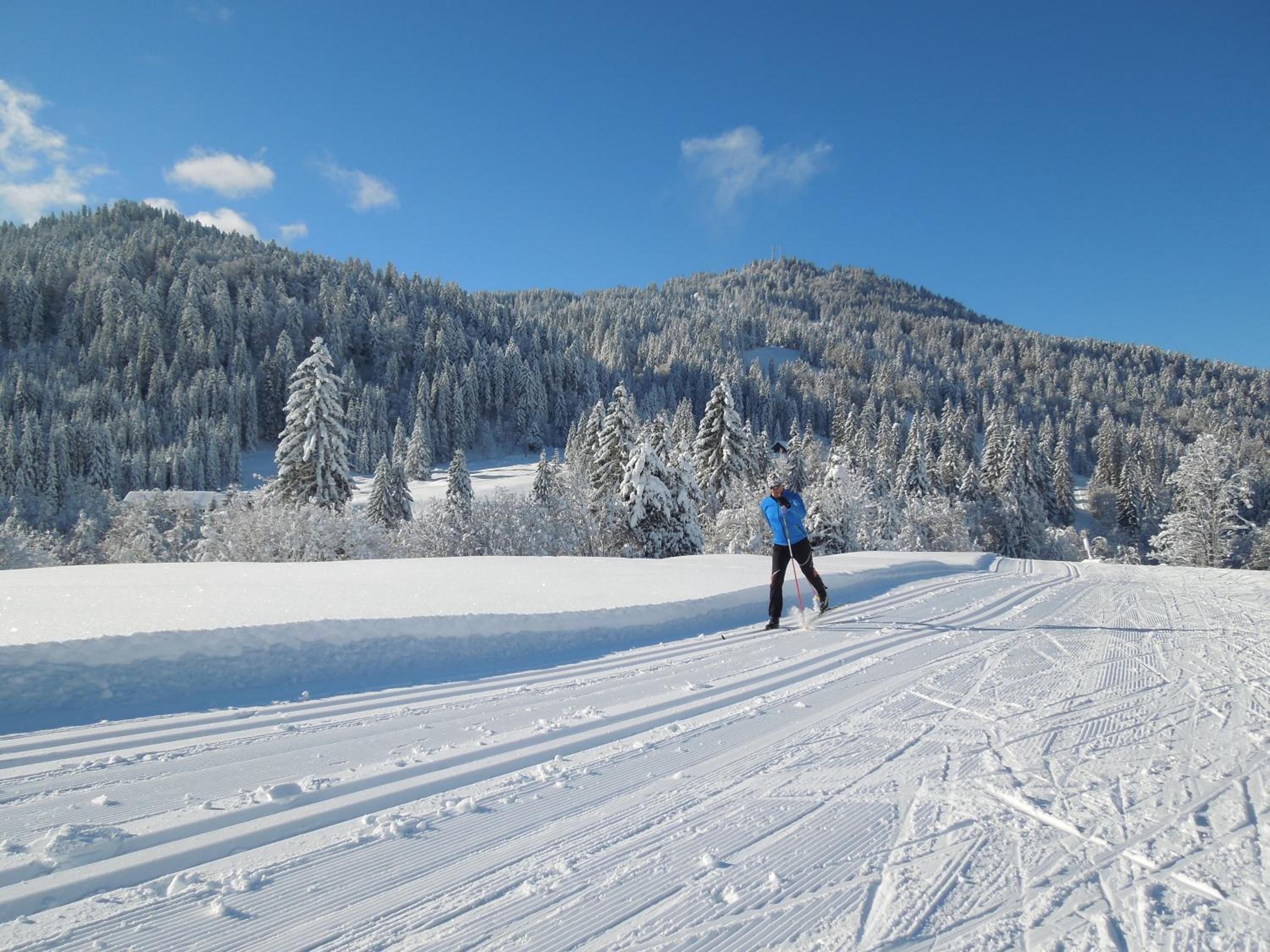 Siplinger Suites - Ferienwohnungen - Sauna und Fitness