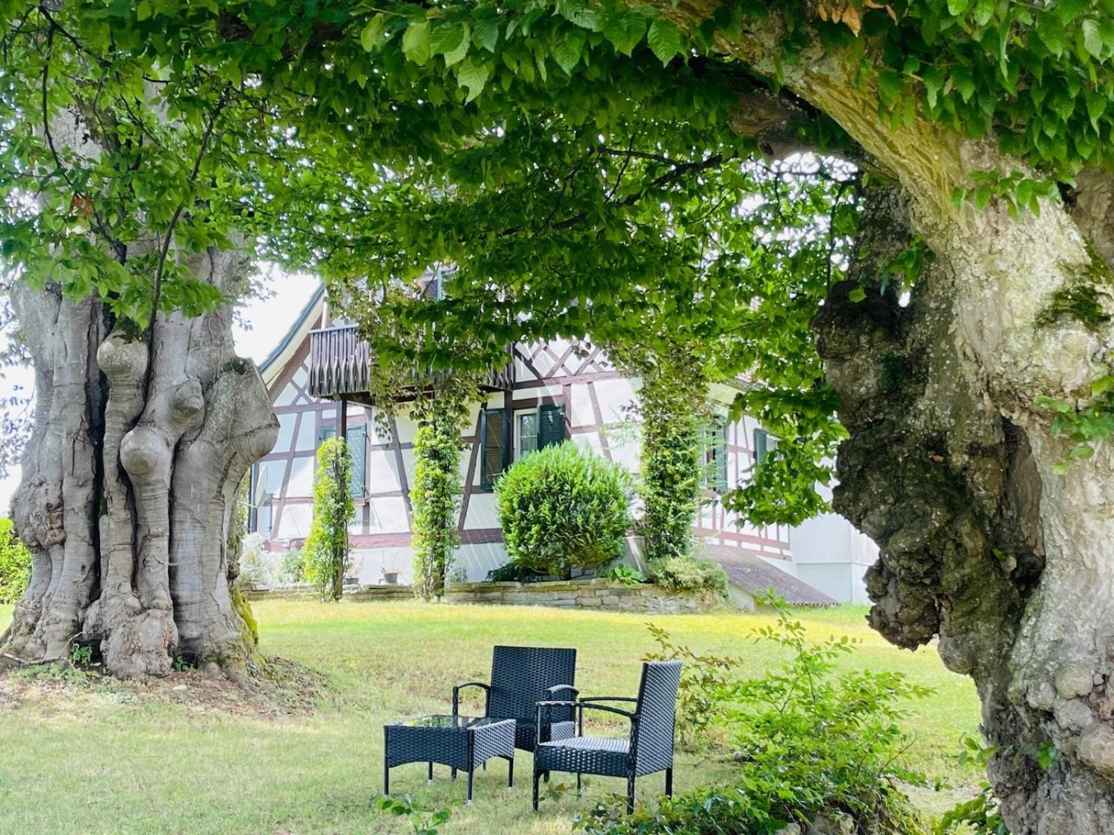 Appartement Villa Seeliebe