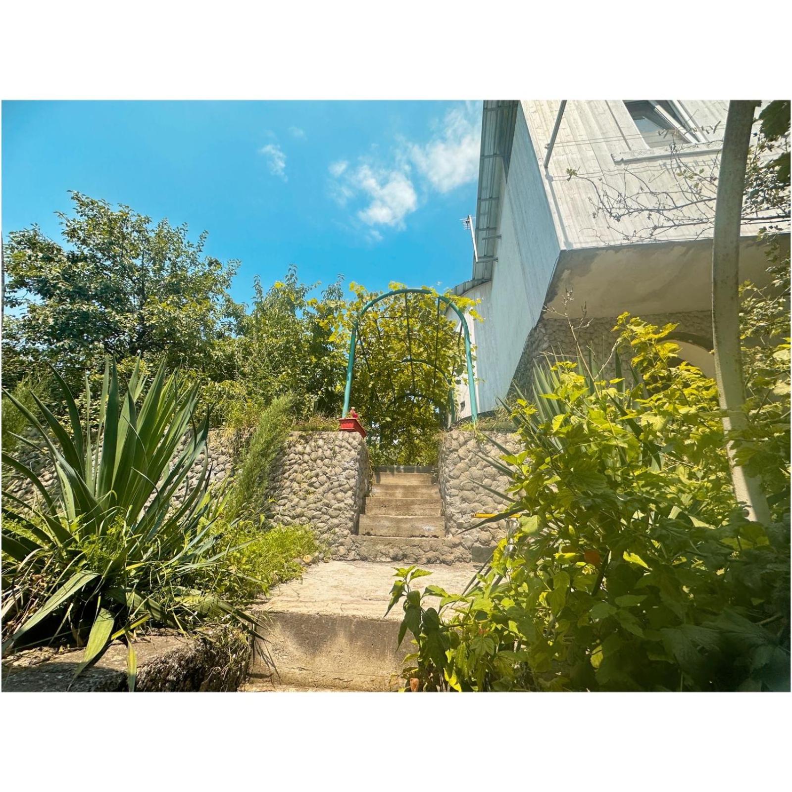 Paloma Bed and Breakfast
